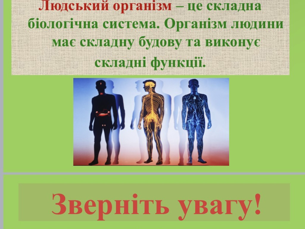 Міжнародний День рідної мови 2024