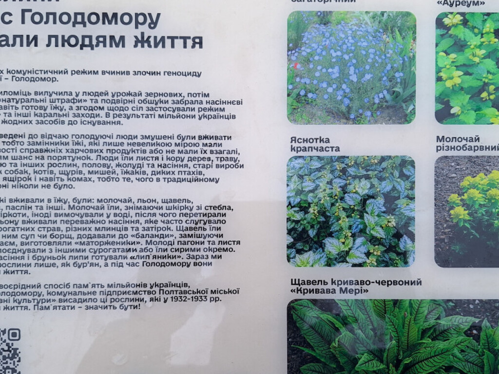 Ушанували пам’ять жертв Голодомору 1932/1933 років